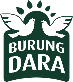 Burung Dara